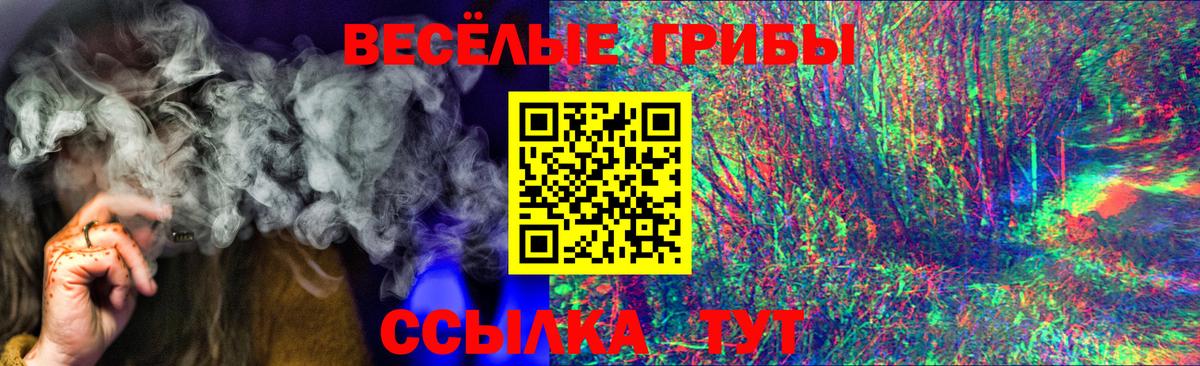 Ялта  Псилоцибиновые грибы GOLDEN TEACHER  Вход с VPN  Галлюциногенные грибы GOLDEN TEACHER 